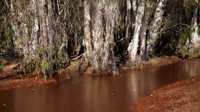 Emuford, QLD